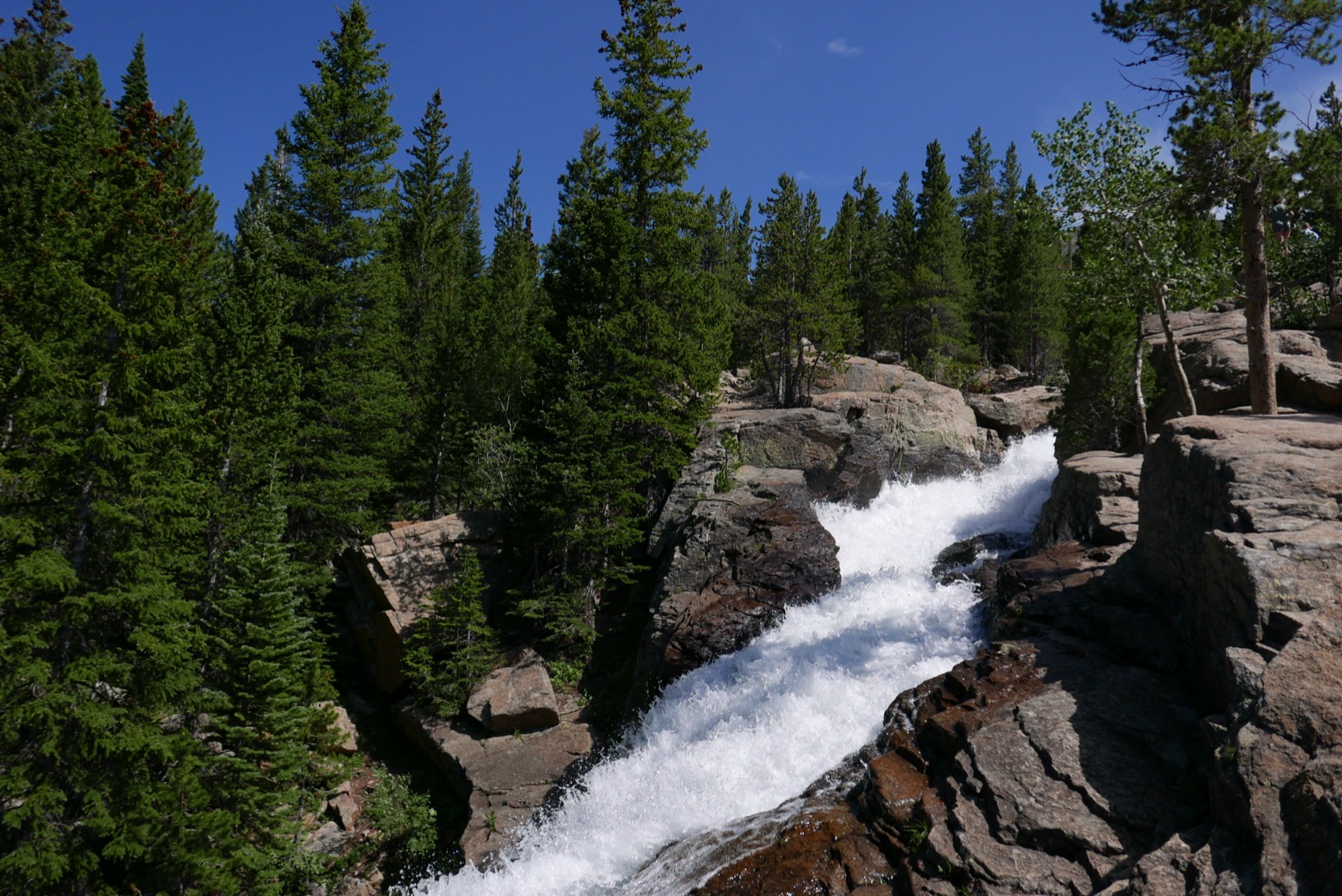 p1020137.jpg