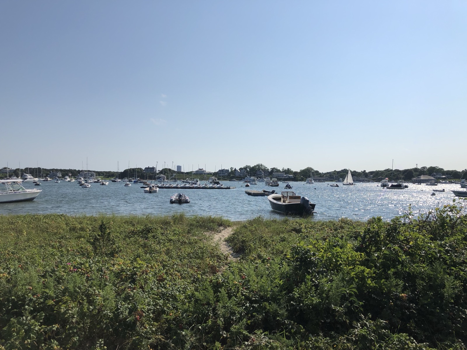 img_0953.jpg